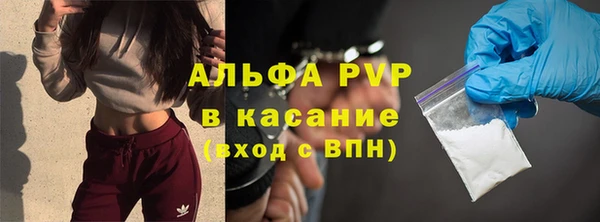 ГАЛЛЮЦИНОГЕННЫЕ ГРИБЫ Богданович