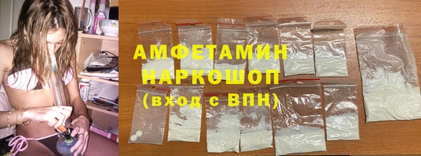 ГАЛЛЮЦИНОГЕННЫЕ ГРИБЫ Богданович